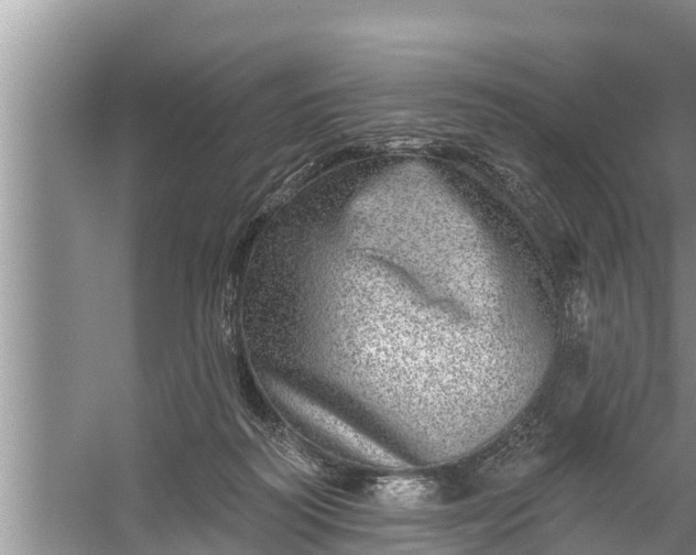 X0000058120218200510071948