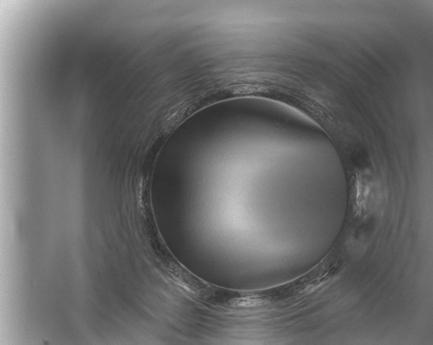 X0000058120219200510071948