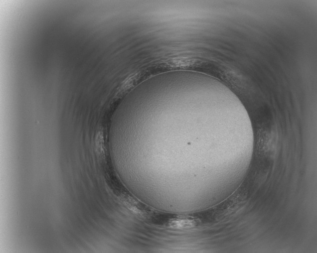 X0000058120220200510071948