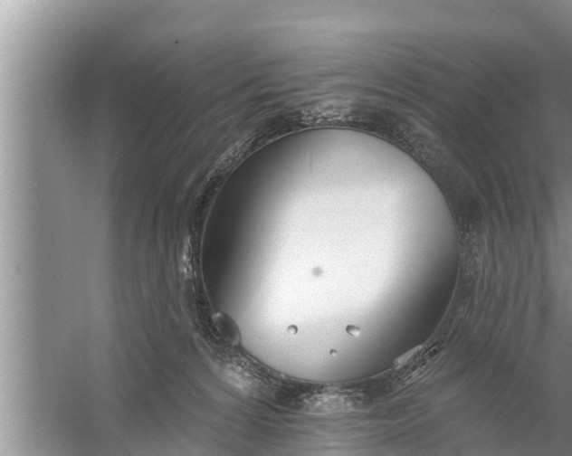 X0000058120224200510071947