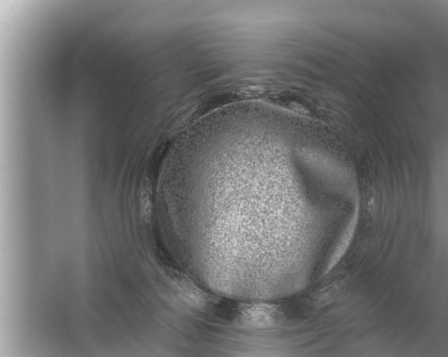 X0000058120226200510071947