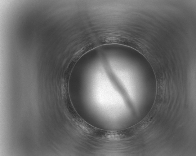 X0000058120228200510071947