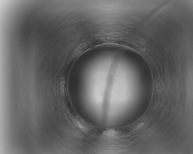 X0000058120231200510071947