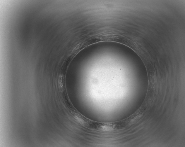 X0000058120232200510071947