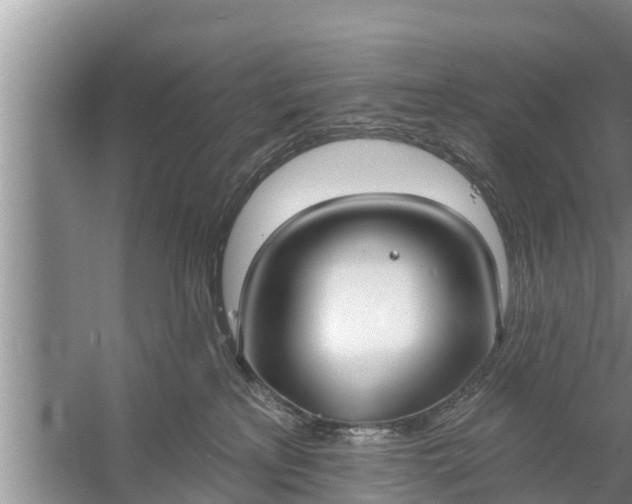 X0000058120233200510071947