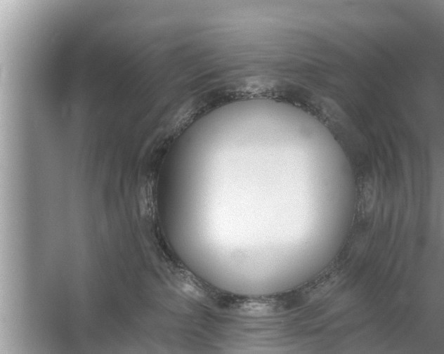 X0000058120236200510071947