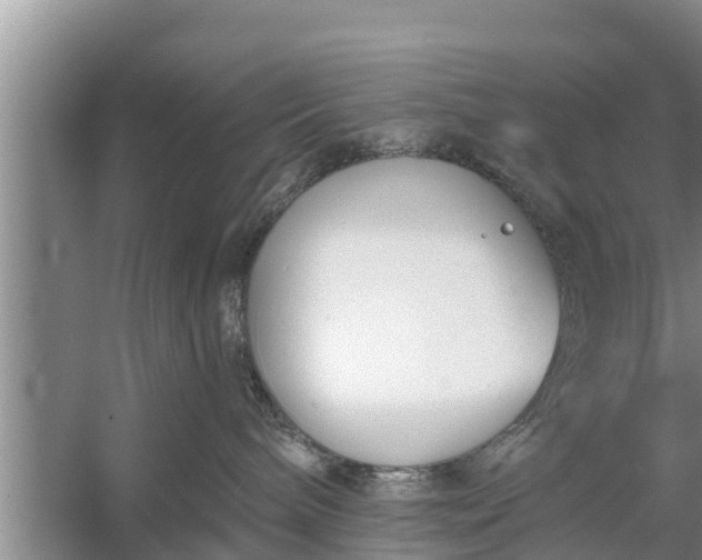 X0000058120240200510071947