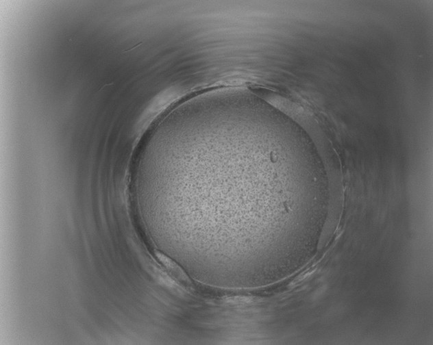 X0000058120242200510071946