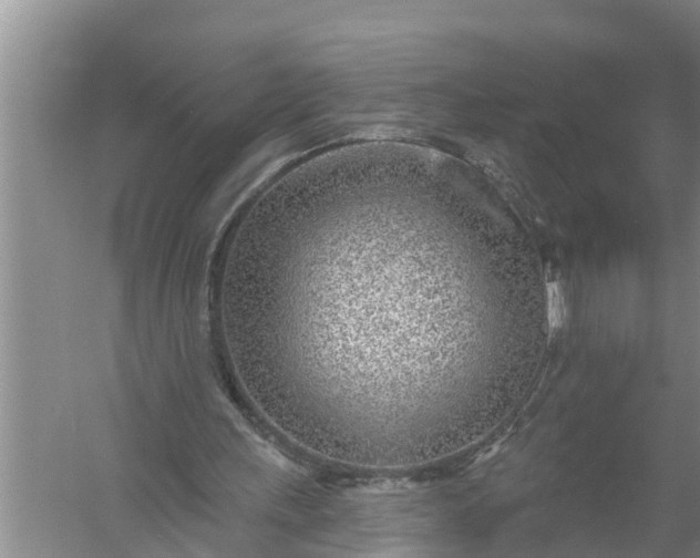 X0000058120243200510071946