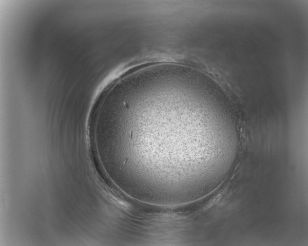 X0000058120246200510071946