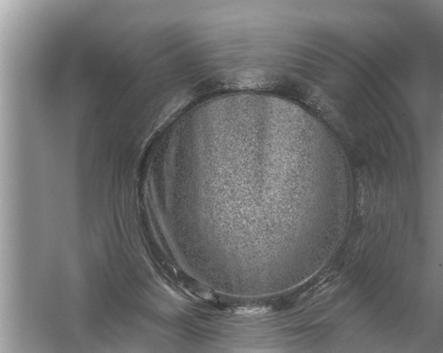 X0000058120251200510071947