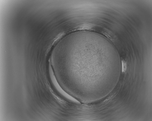 X0000058120253200510071947