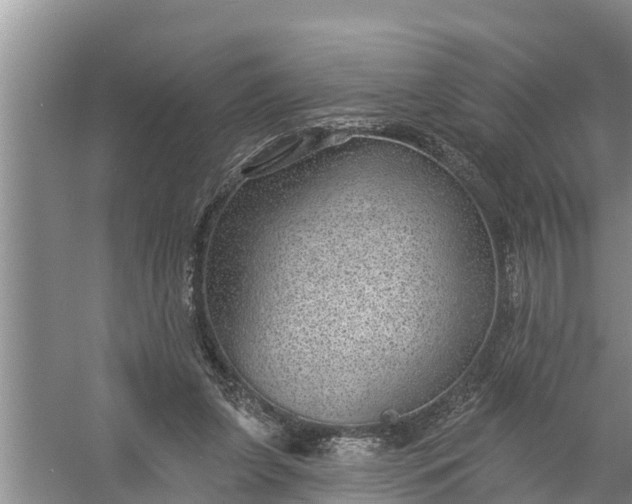 X0000058120255200510071947