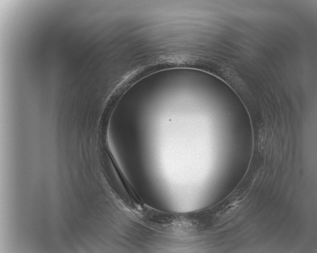 X0000058120256200510071947