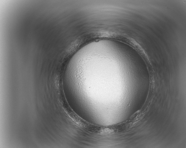 X0000058120257200510071947