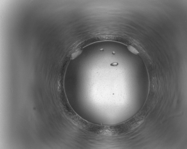 X0000058120259200510071947