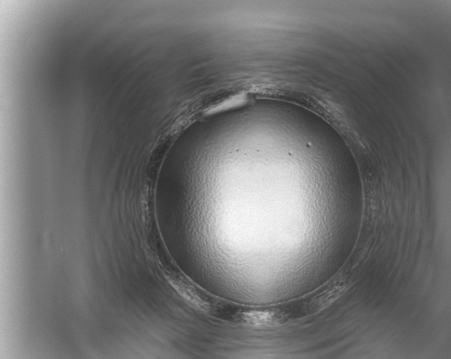 X0000058120265200510071947