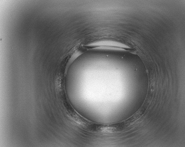 X0000058120268200510071947