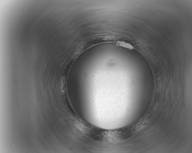 X0000058120273200510071947