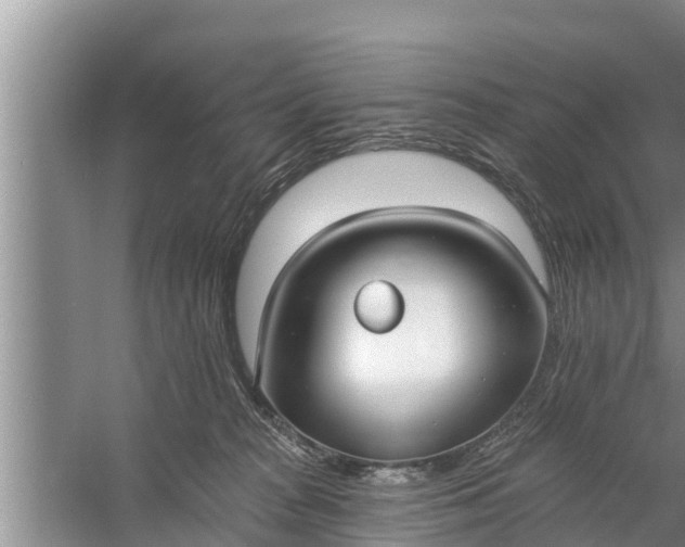 X0000058120277200510071947