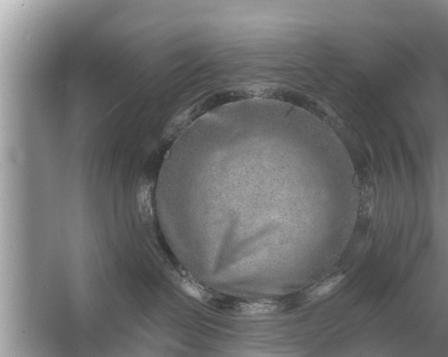 X0000058120286200510071947