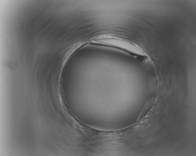 X0000058120289200510071946