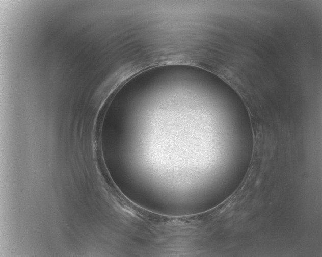 X0000058120290200510071946