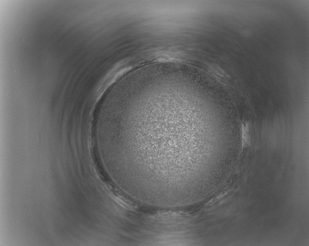 X0000058120291200510071946