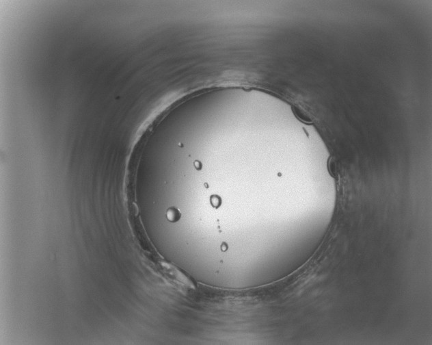 X0000058120292200510071946