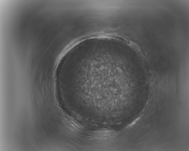 X0000058120295200510071946