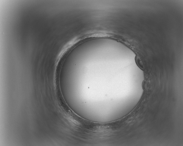 X0000058120296200510071946