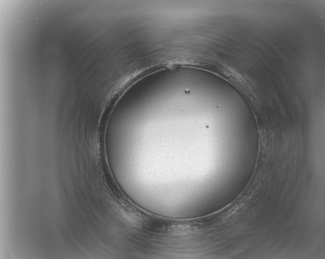 X0000058120298200510071946