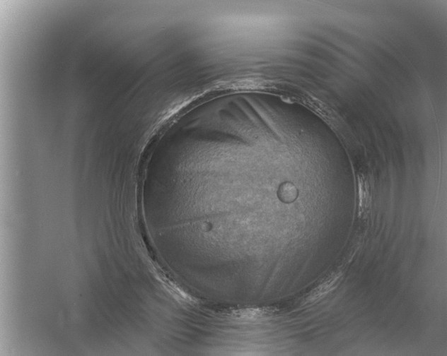 X0000058120301200510071946