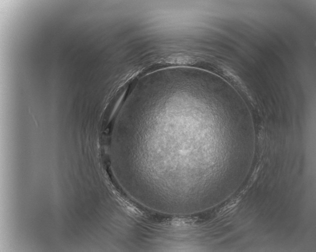 X0000058120305200510071946