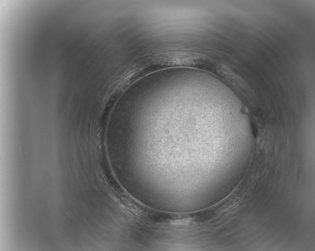 X0000058120306200510071946