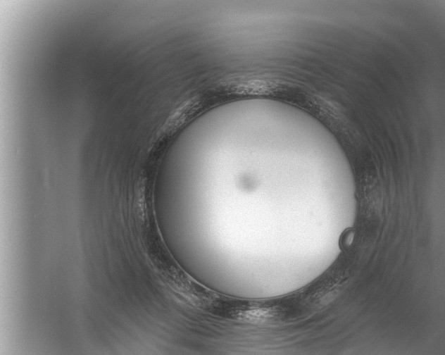 X0000058120312200510071946