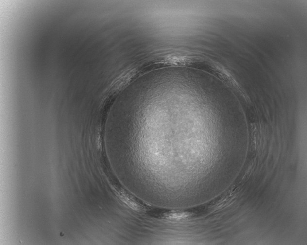 X0000058120313200510071946