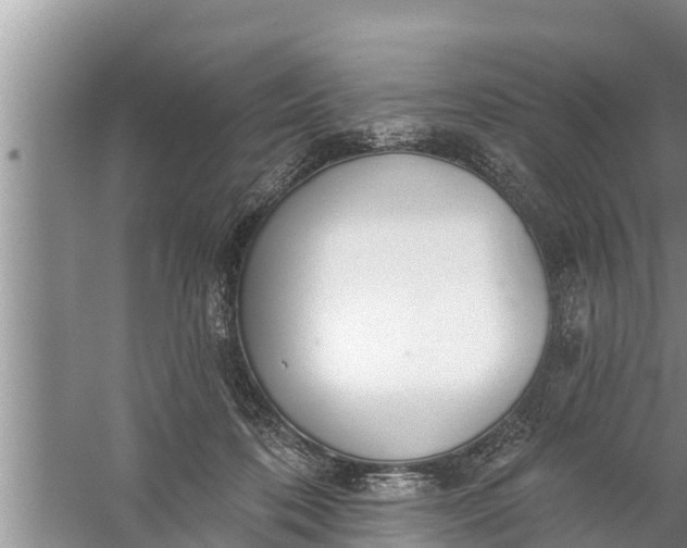 X0000058120316200510071946