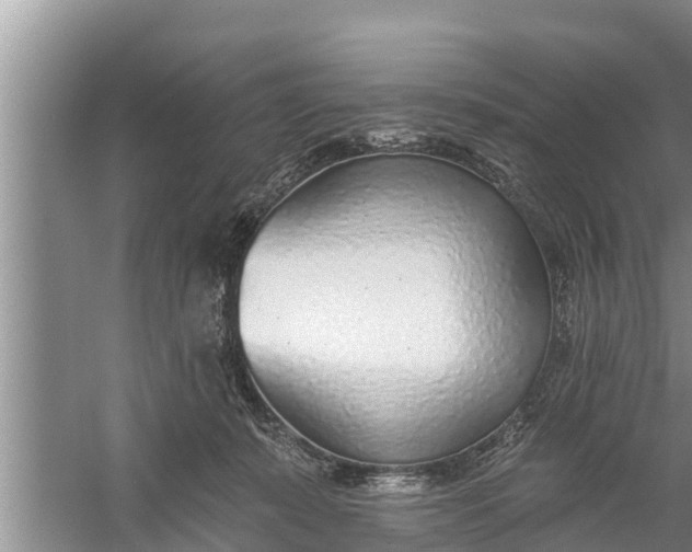 X0000058120319200510071946