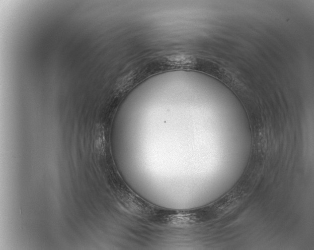 X0000058120320200510071946