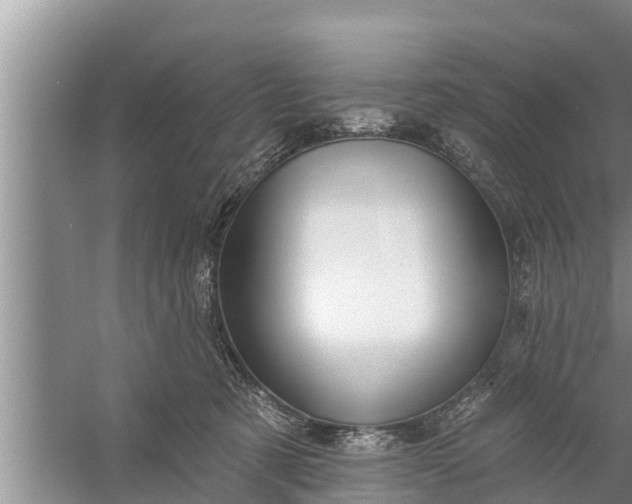 X0000058120321200510071946