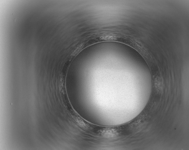 X0000058120322200510071946