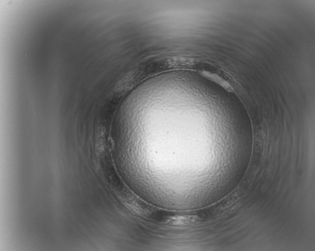 X0000058120323200510071946