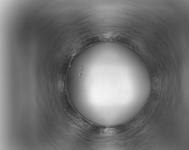 X0000058120324200510071946