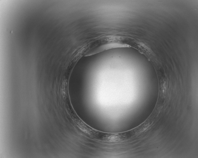 X0000058120325200510071946