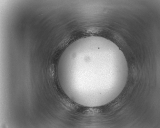 X0000058120328200510071946