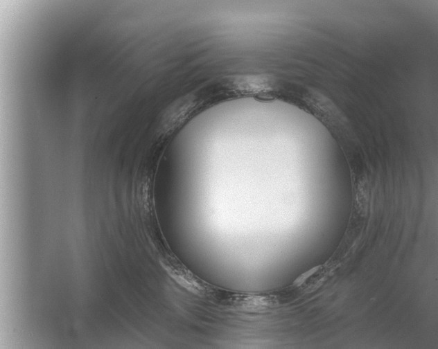 X0000058120330200510071946