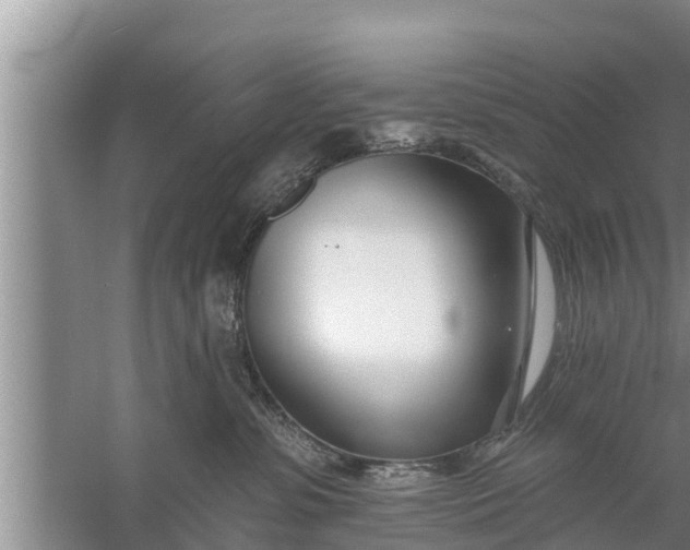 X0000058120331200510071946