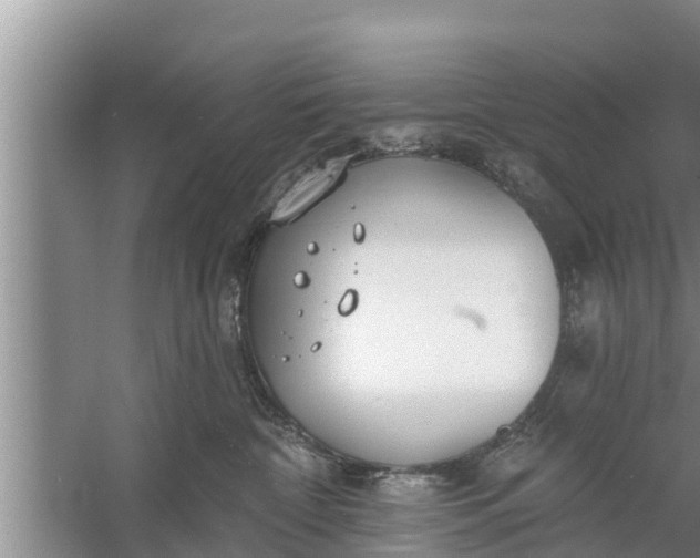 X0000058120332200510071946