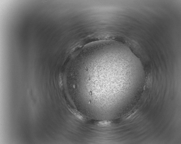 X0000058120335200510071946